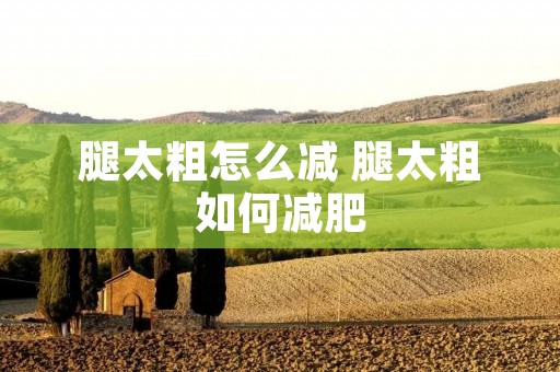 腿太粗怎么减 腿太粗如何减肥