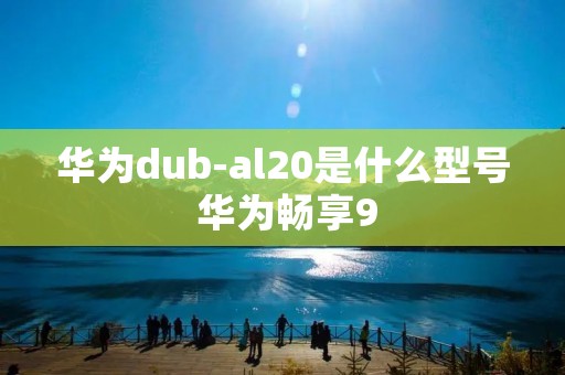 华为dub-al20是什么型号 华为畅享9