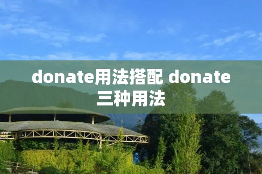 donate用法搭配 donate三种用法