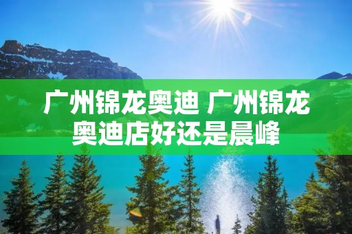 广州锦龙奥迪 广州锦龙奥迪店好还是晨峰