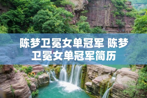 陈梦卫冕女单冠军 陈梦卫冕女单冠军简历 陈梦卫冕女单冠军 陈梦卫冕女单冠军简历