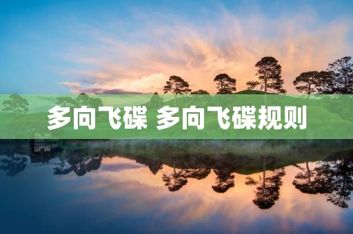 多向飞碟 多向飞碟规则
