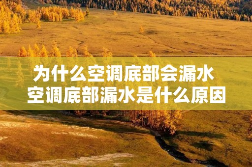 为什么空调底部会漏水 空调底部漏水是什么原因