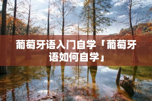 葡萄牙语入门自学「葡萄牙语如何自学」