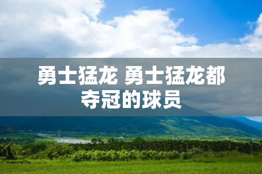 勇士猛龙 勇士猛龙都夺冠的球员