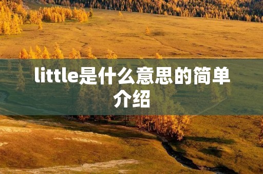 little是什么意思的简单介绍