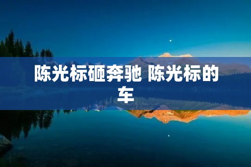 陈光标砸奔驰 陈光标的车