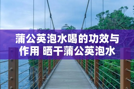 蒲公英泡水喝的功效与作用 晒干蒲公英泡水喝的功效与作用