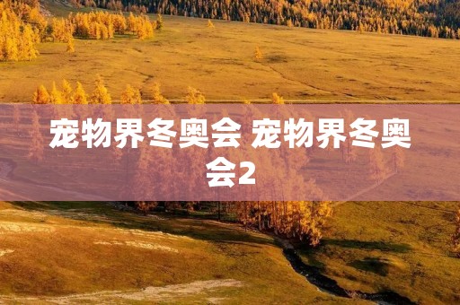 宠物界冬奥会 宠物界冬奥会2