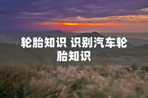 轮胎知识 识别汽车轮胎知识