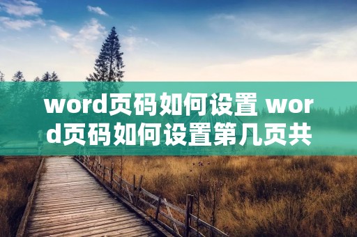 word页码如何设置 word页码如何设置第几页共几页