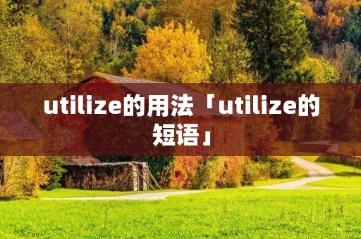 utilize的用法「utilize的短语」