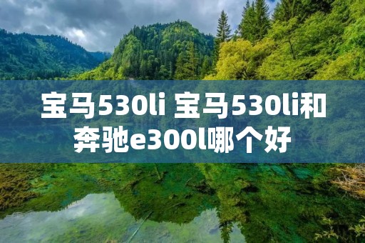 宝马530li 宝马530li和奔驰e300l哪个好