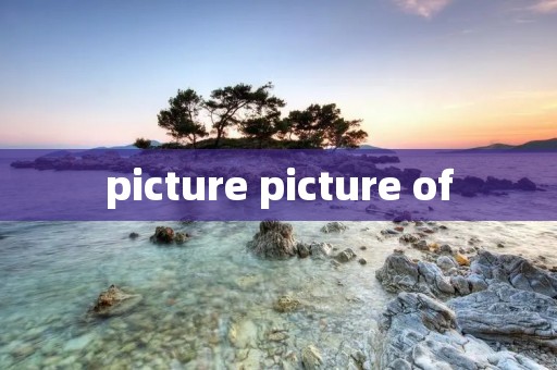 picture picture of