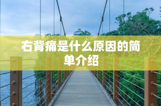 右背痛是什么原因的简单介绍 右背痛是什么原因的简单介绍
