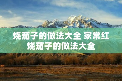 烧茄子的做法大全 家常红烧茄子的做法大全