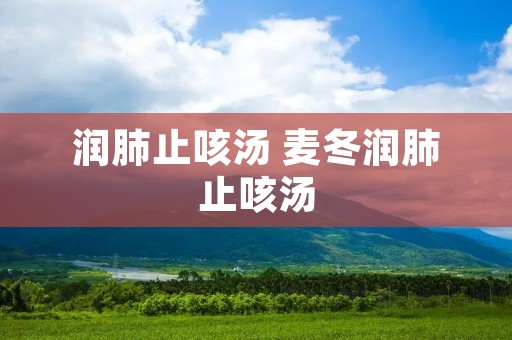 润肺止咳汤 麦冬润肺止咳汤