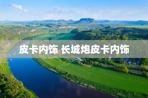 皮卡内饰 长城炮皮卡内饰