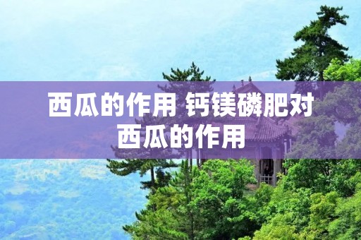 西瓜的作用 钙镁磷肥对西瓜的作用