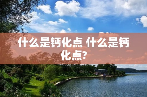 什么是钙化点 什么是钙化点? 什么是钙化点 什么是钙化点?