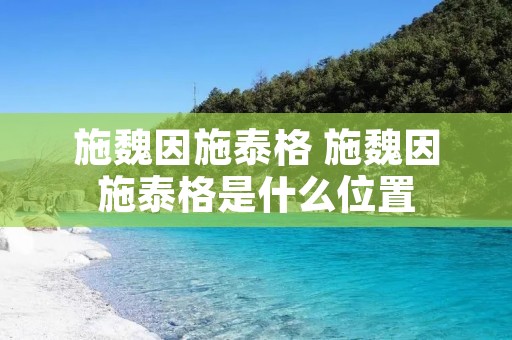施魏因施泰格 施魏因施泰格是什么位置