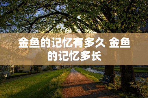 金鱼的记忆有多久 金鱼的记忆多长 金鱼的记忆有多久 金鱼的记忆多长