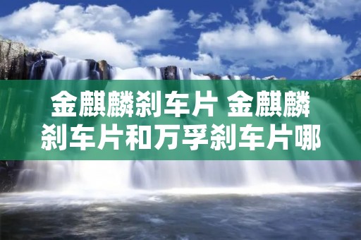 金麒麟刹车片 金麒麟刹车片和万孚刹车片哪个好
