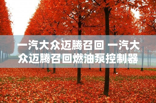 一汽大众迈腾召回 一汽大众迈腾召回燃油泵控制器安装故障