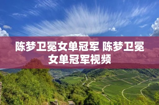 陈梦卫冕女单冠军 陈梦卫冕女单冠军视频