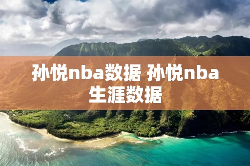 孙悦nba数据 孙悦nba生涯数据