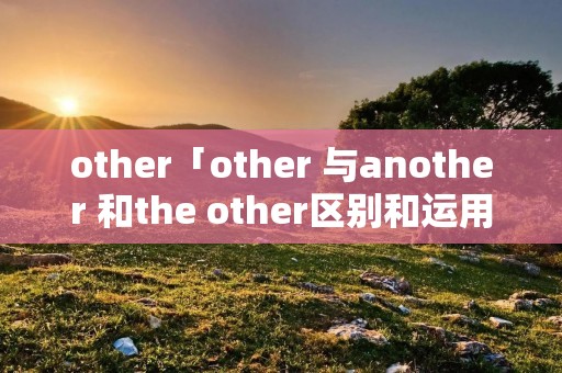 other「other 与another 和the other区别和运用」 other「other 与another 和the other区别和运用」