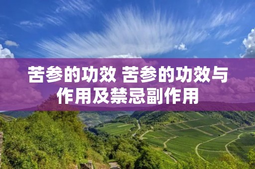 苦参的功效 苦参的功效与作用及禁忌副作用
