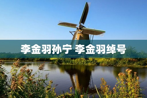 李金羽孙宁 李金羽绰号