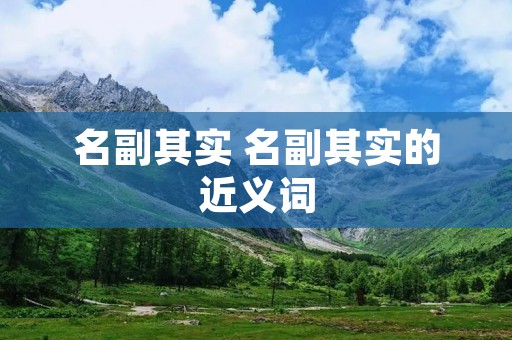 名副其实 名副其实的近义词