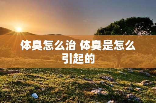 体臭怎么治 体臭是怎么引起的 体臭怎么治 体臭是怎么引起的