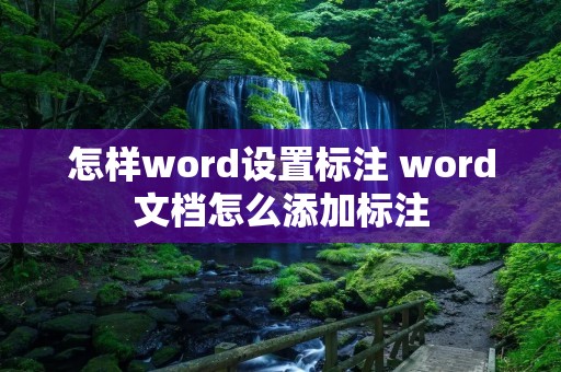 怎样word设置标注 word文档怎么添加标注