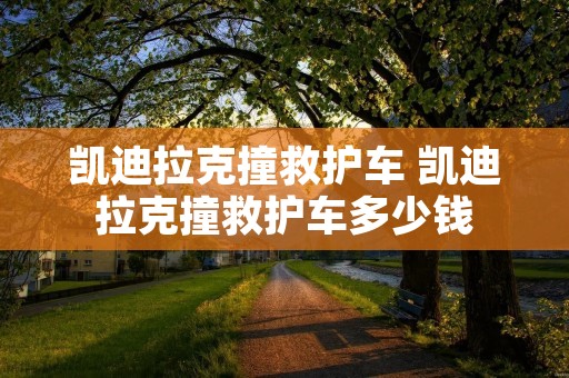 凯迪拉克撞救护车 凯迪拉克撞救护车多少钱