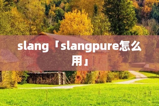 slang「slangpure怎么用」 slang「slangpure怎么用」