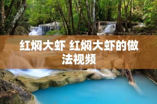 红焖大虾 红焖大虾的做法视频
