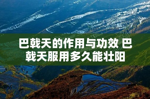 巴戟天的作用与功效 巴戟天服用多久能壮阳 巴戟天的作用与功效 巴戟天服用多久能壮阳