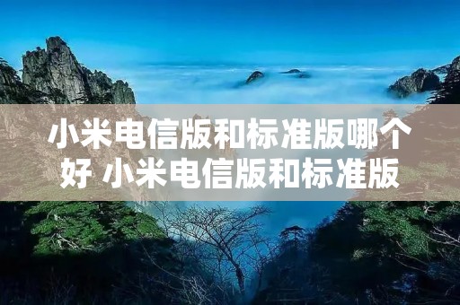 小米电信版和标准版哪个好 小米电信版和标准版哪个好一点 小米电信版和标准版哪个好 小米电信版和标准版哪个好一点