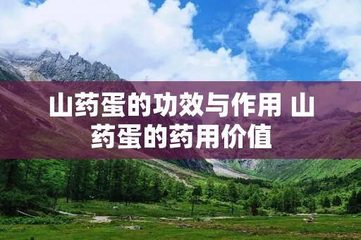 山药蛋的功效与作用 山药蛋的药用价值