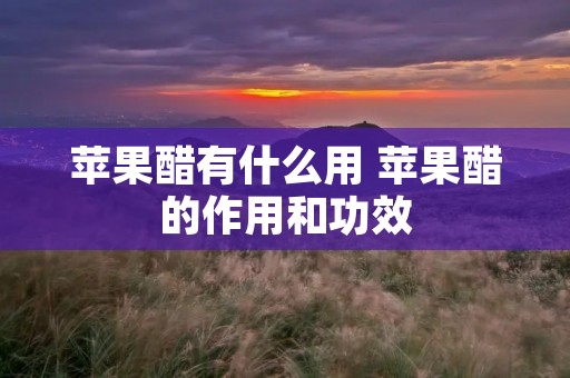苹果醋有什么用 苹果醋的作用和功效