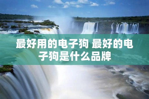 最好用的电子狗 最好的电子狗是什么品牌