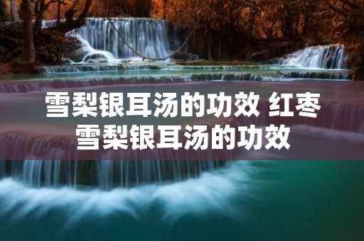 雪梨银耳汤的功效 红枣雪梨银耳汤的功效