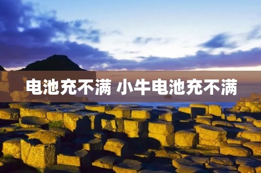电池充不满 小牛电池充不满
