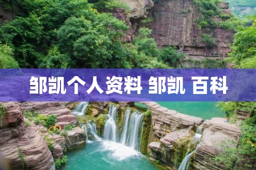 邹凯个人资料 邹凯 百科