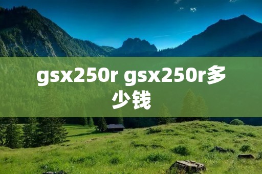 gsx250r gsx250r多少钱 gsx250r gsx250r多少钱