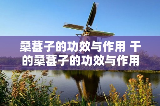 桑葚子的功效与作用 干的桑葚子的功效与作用 桑葚子的功效与作用 干的桑葚子的功效与作用