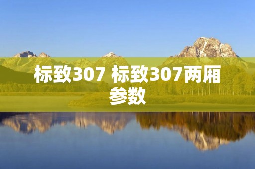 标致307 标致307两厢参数